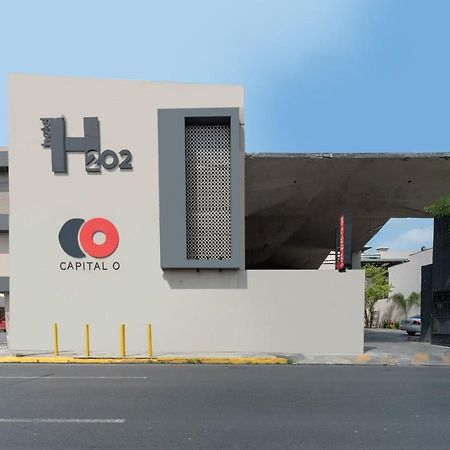 Hotel 202 Monterrey Eksteriør billede