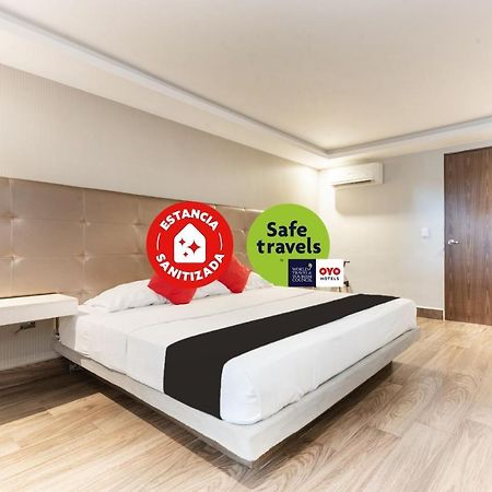 Hotel 202 Monterrey Eksteriør billede