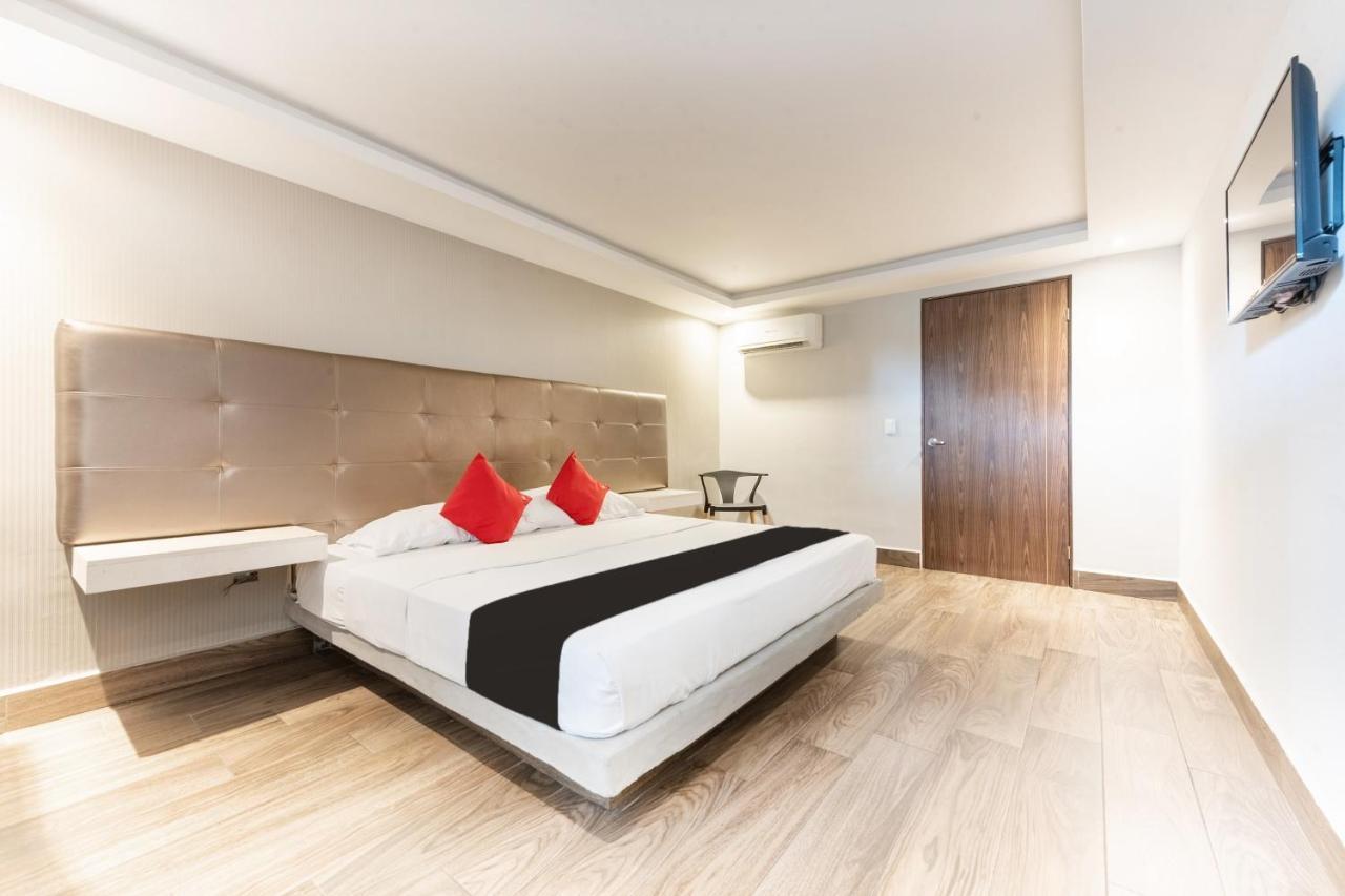 Hotel 202 Monterrey Eksteriør billede