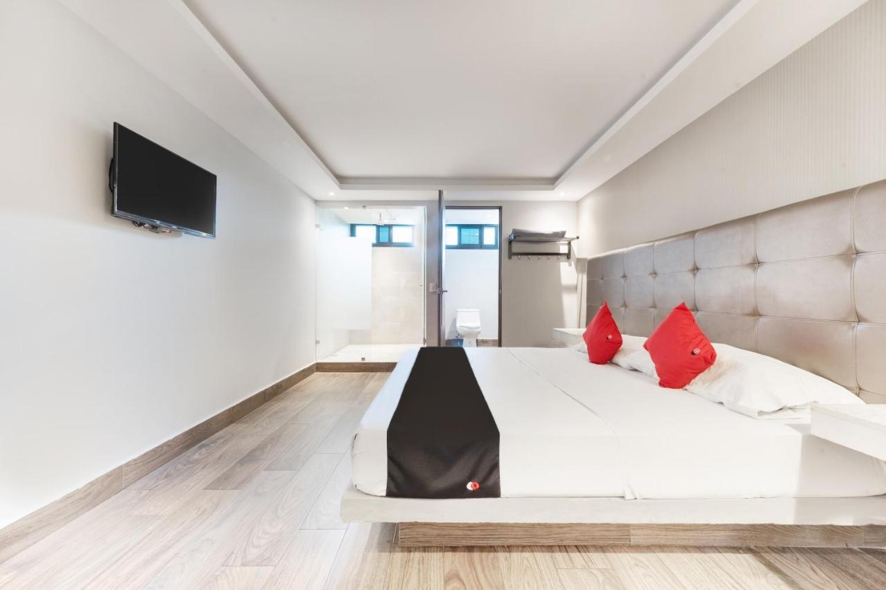 Hotel 202 Monterrey Eksteriør billede