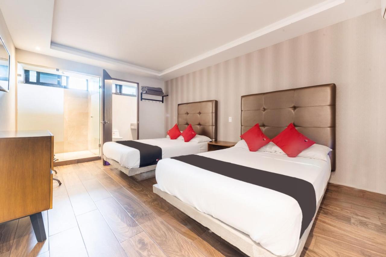 Hotel 202 Monterrey Eksteriør billede