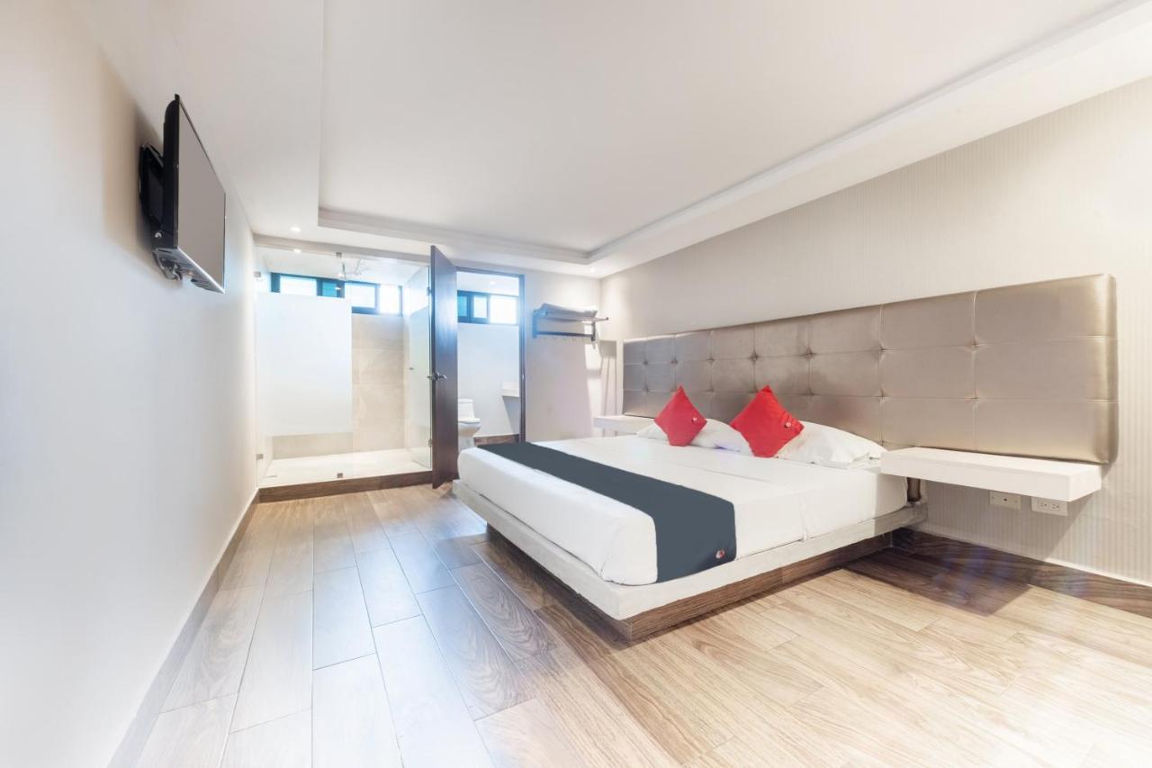 Hotel 202 Monterrey Eksteriør billede