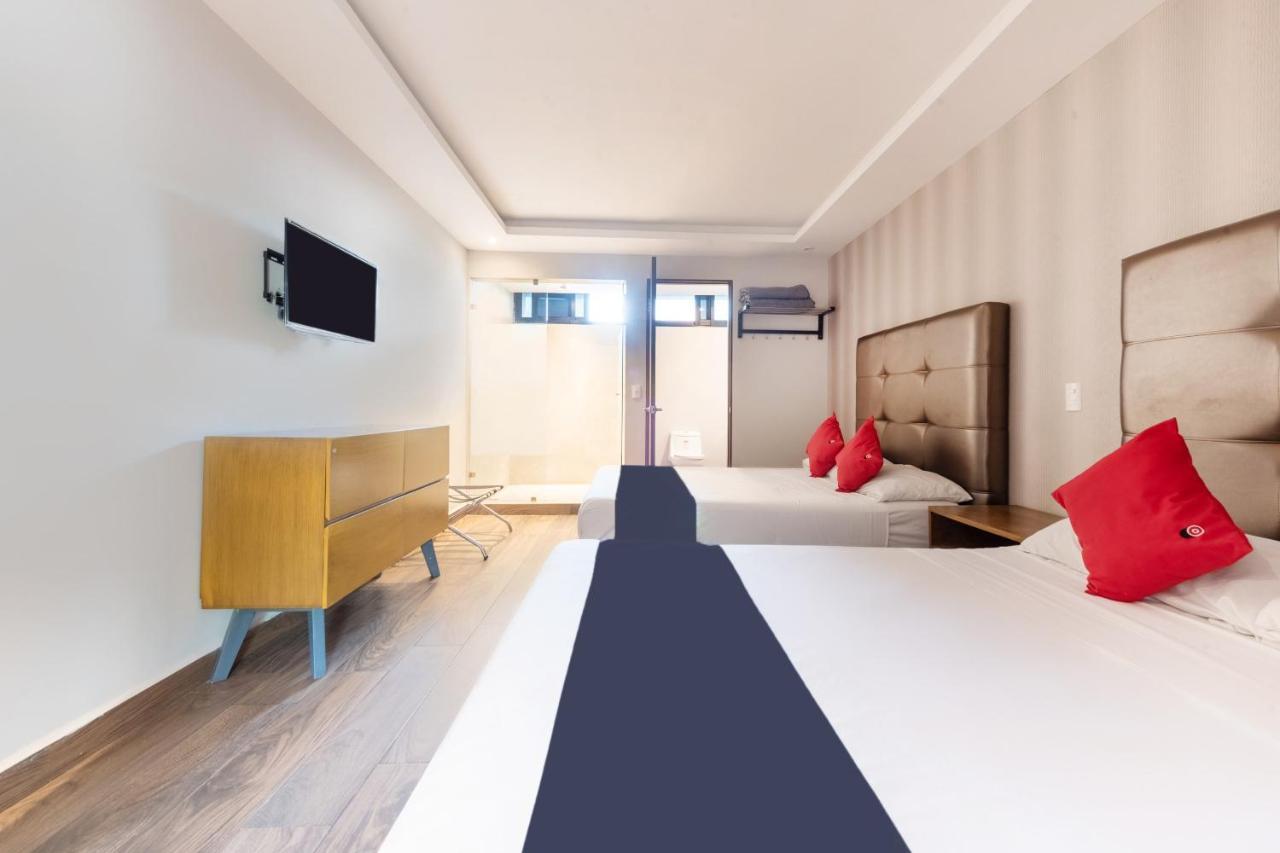 Hotel 202 Monterrey Eksteriør billede