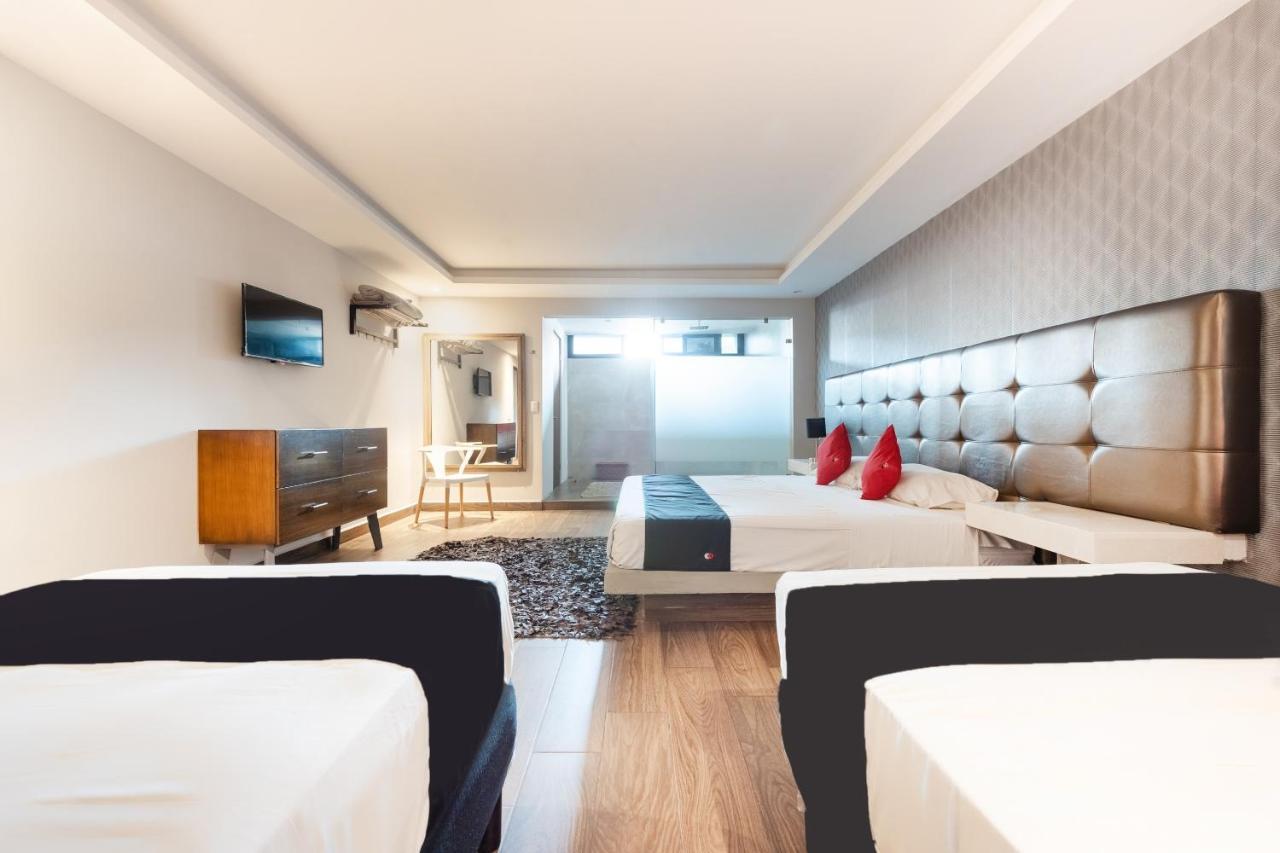 Hotel 202 Monterrey Eksteriør billede
