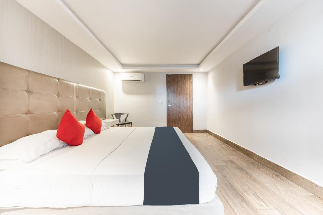 Hotel 202 Monterrey Eksteriør billede