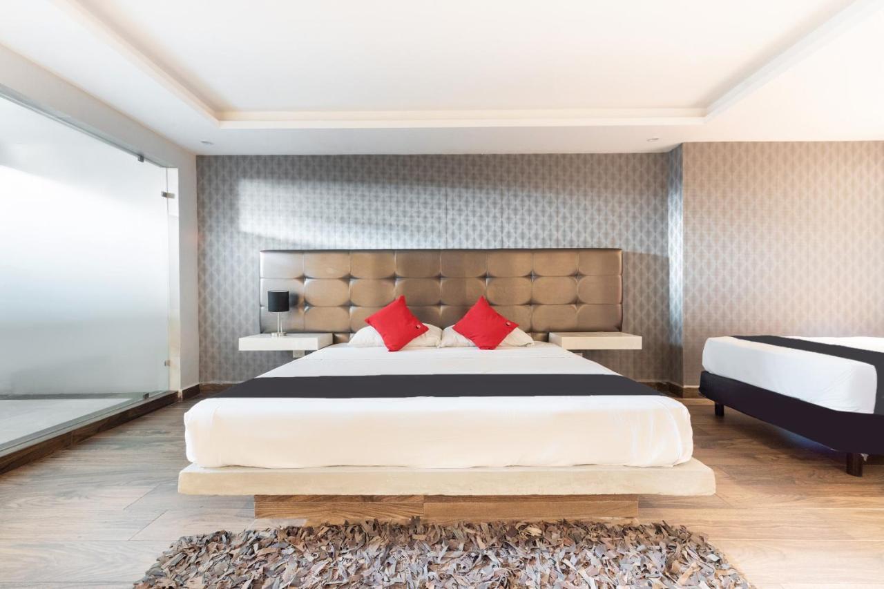 Hotel 202 Monterrey Eksteriør billede