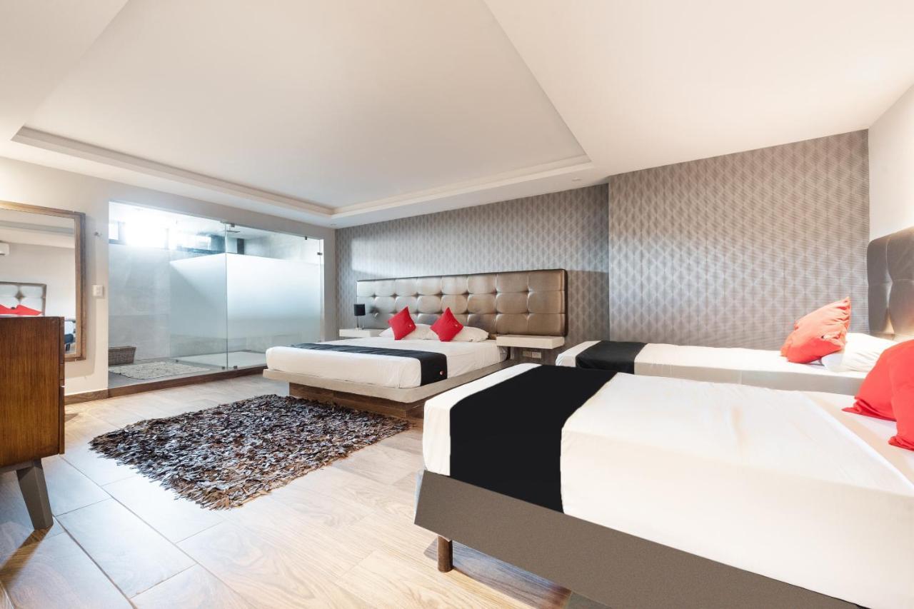 Hotel 202 Monterrey Eksteriør billede