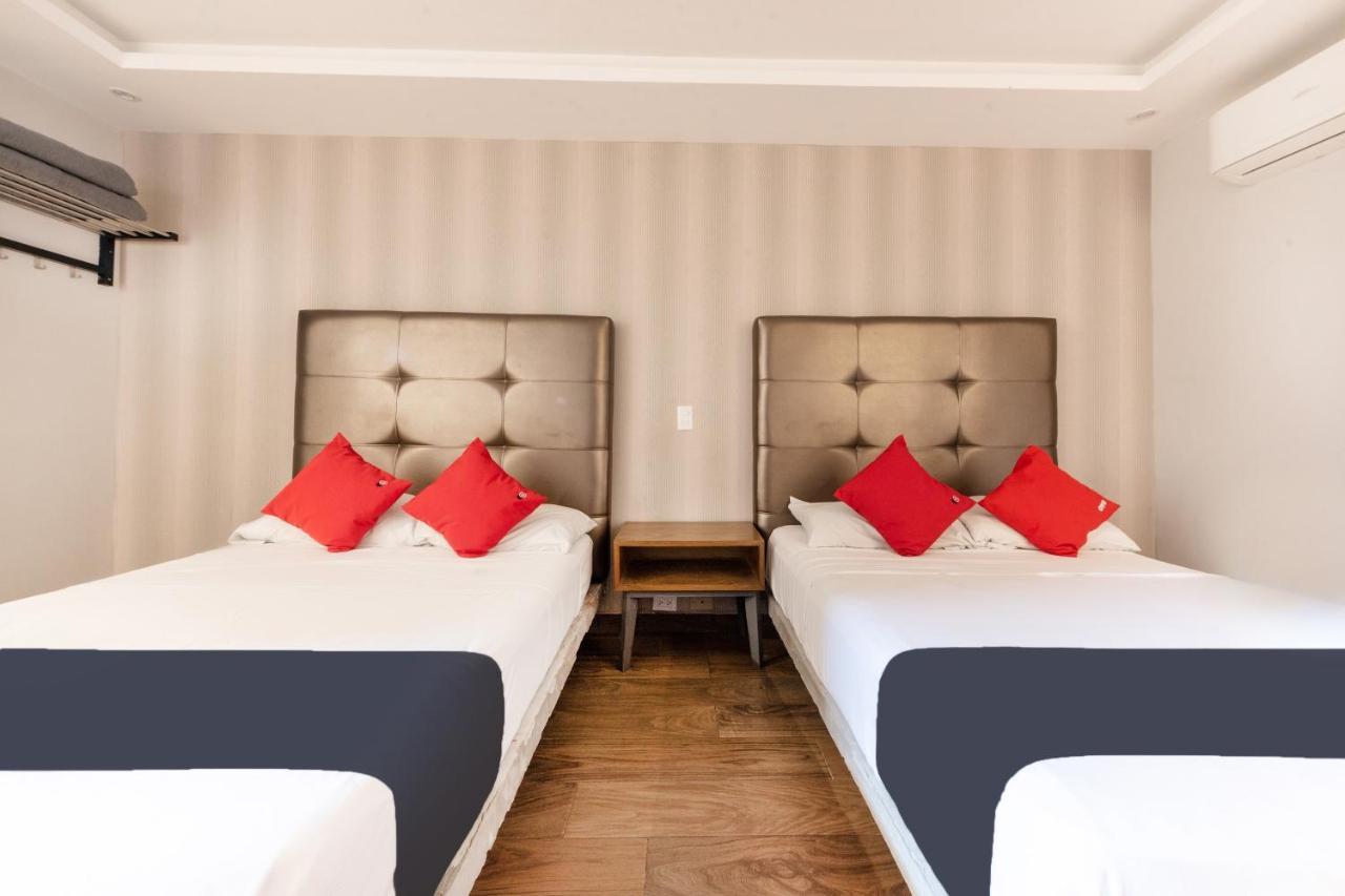 Hotel 202 Monterrey Eksteriør billede