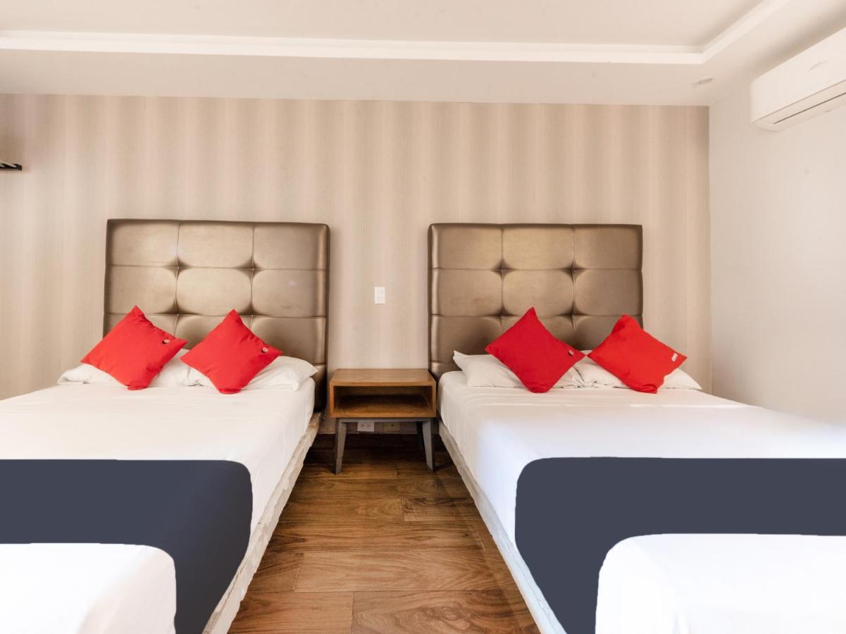 Hotel 202 Monterrey Eksteriør billede