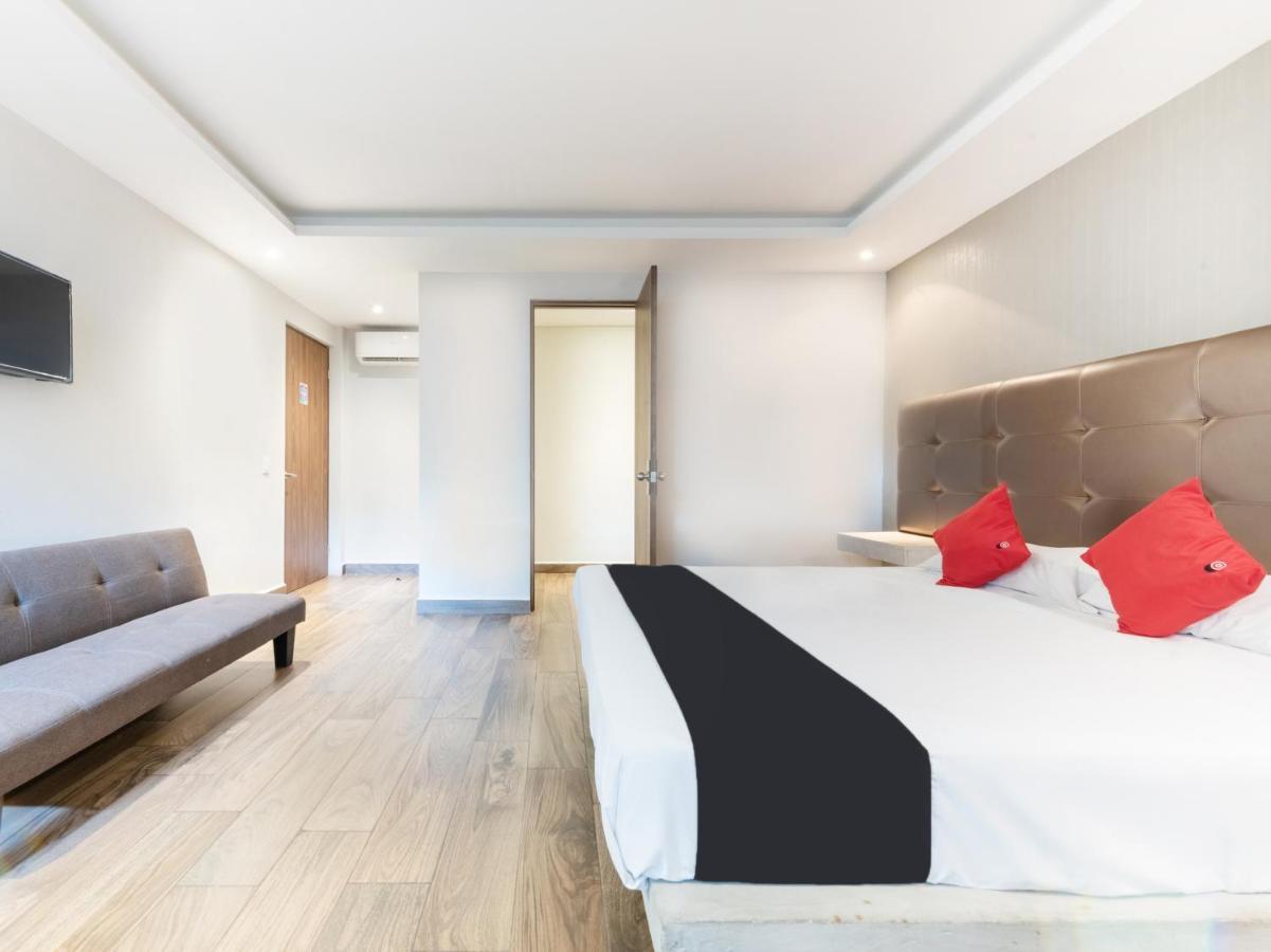 Hotel 202 Monterrey Eksteriør billede