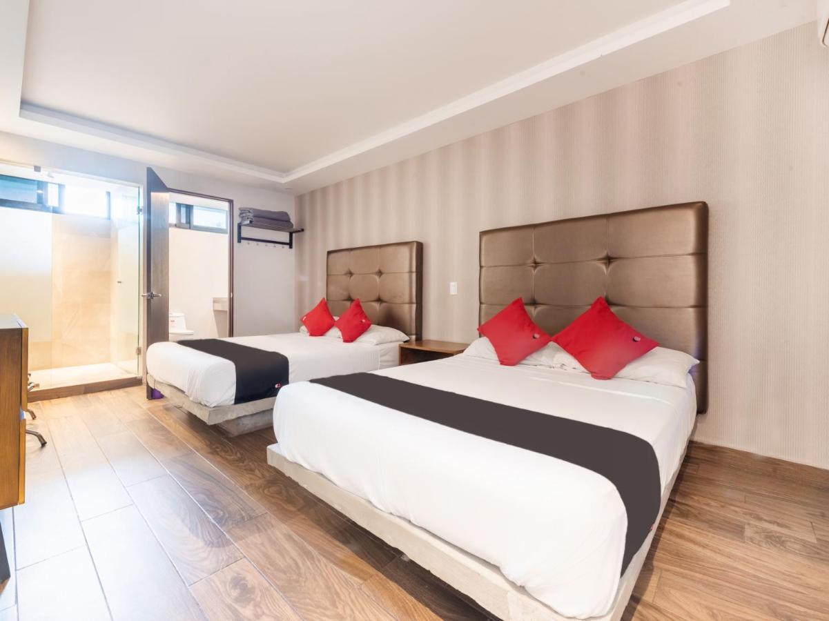 Hotel 202 Monterrey Eksteriør billede