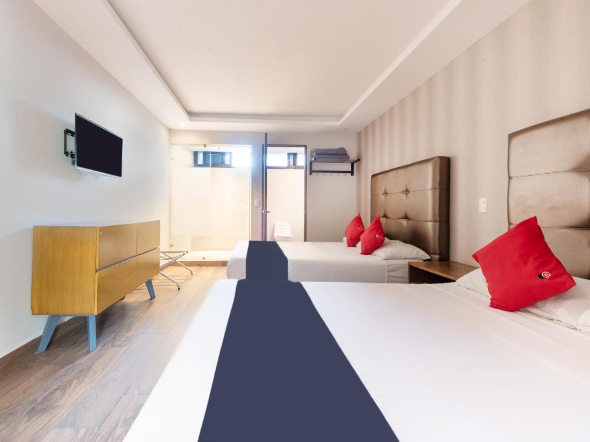 Hotel 202 Monterrey Eksteriør billede