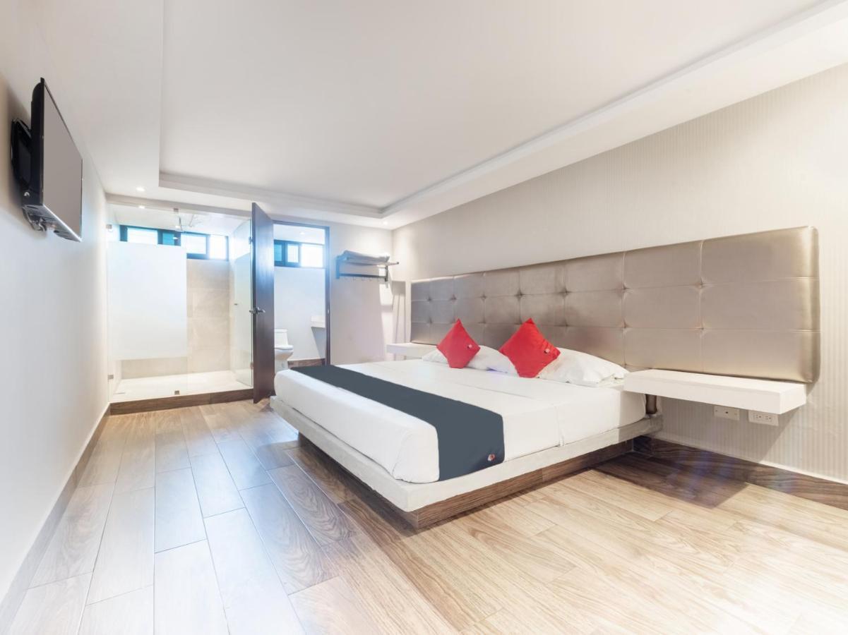 Hotel 202 Monterrey Eksteriør billede