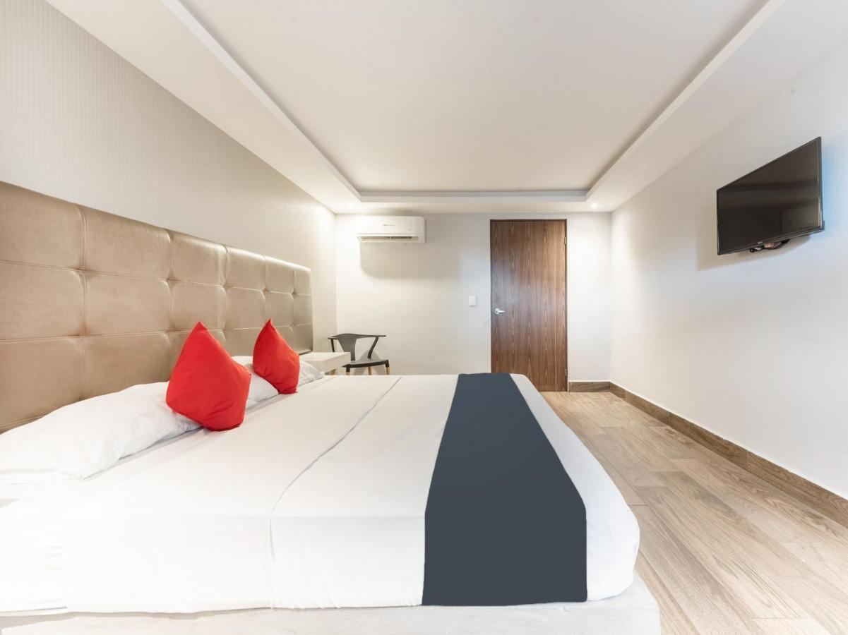 Hotel 202 Monterrey Eksteriør billede