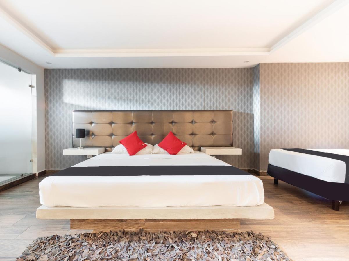 Hotel 202 Monterrey Eksteriør billede
