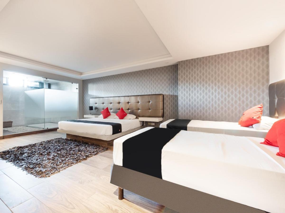 Hotel 202 Monterrey Eksteriør billede